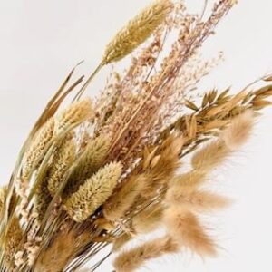 Boeketje droogbloemen NATUREL