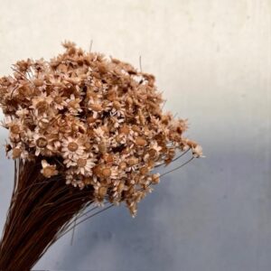 Marcela Peach / Nude