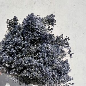 Broom Bloom Grijs Blauw