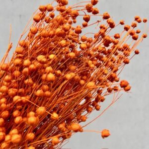 Vlas terracotta Orange