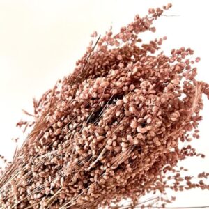 Briza Minima Oudroze