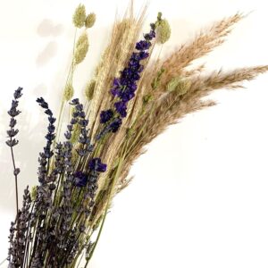 Basis boeket Lavendel