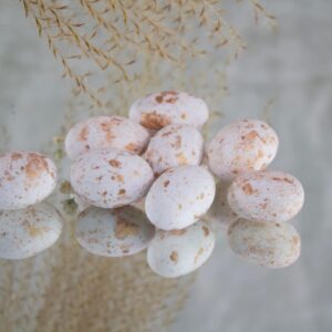 Crazy Nuts (900gr) Marmer goud