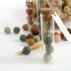 Proefbuisje glas met kurk SMALL