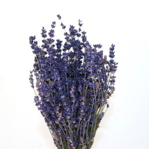 Gedroogde lavendeltakjes