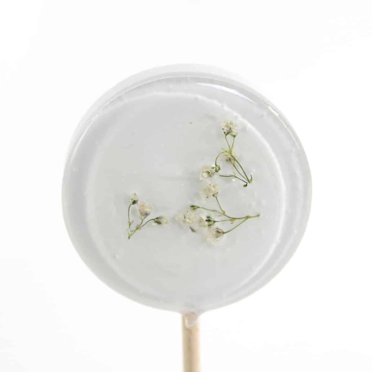 Lolly gips WIT - Afbeelding 2