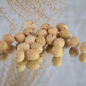 MINI eitjes - champagne (DB)