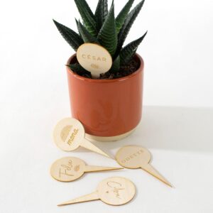 Houten plantenprikker