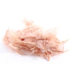 Pluimen zacht roze / peach