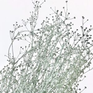 Boeketje droogbloemen NATUREL